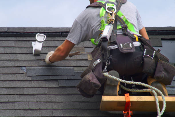 Best Roof Leak Repair  in Westernport, MD