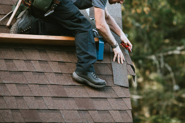 Best Metal Roofing Contractor  in Westernport, MD